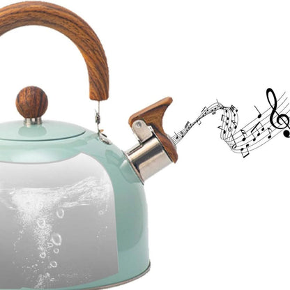 BOILVIA – 3L Whistling Stainless Kettle with Comfort Grip Handle