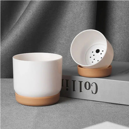 BOTANICAIR – Smart Self-Watering Flower Pot for Indoor & Office Plants