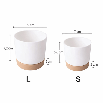BOTANICAIR – Smart Self-Watering Flower Pot for Indoor & Office Plants