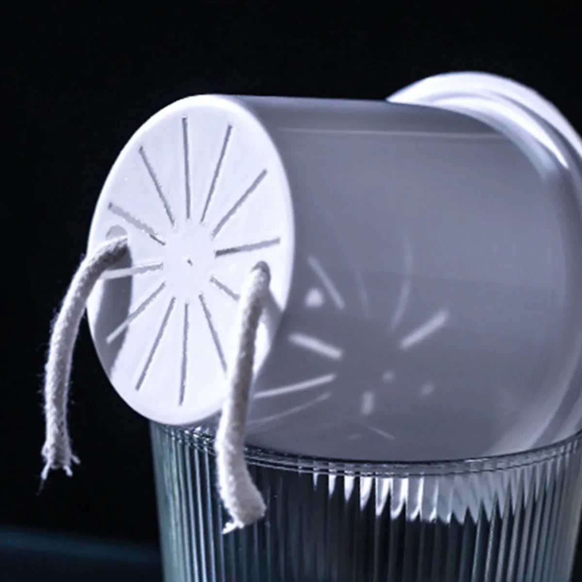 CLEARBLOOM – Self-Watering Clear Planter for Indoor & Outdoor Plants