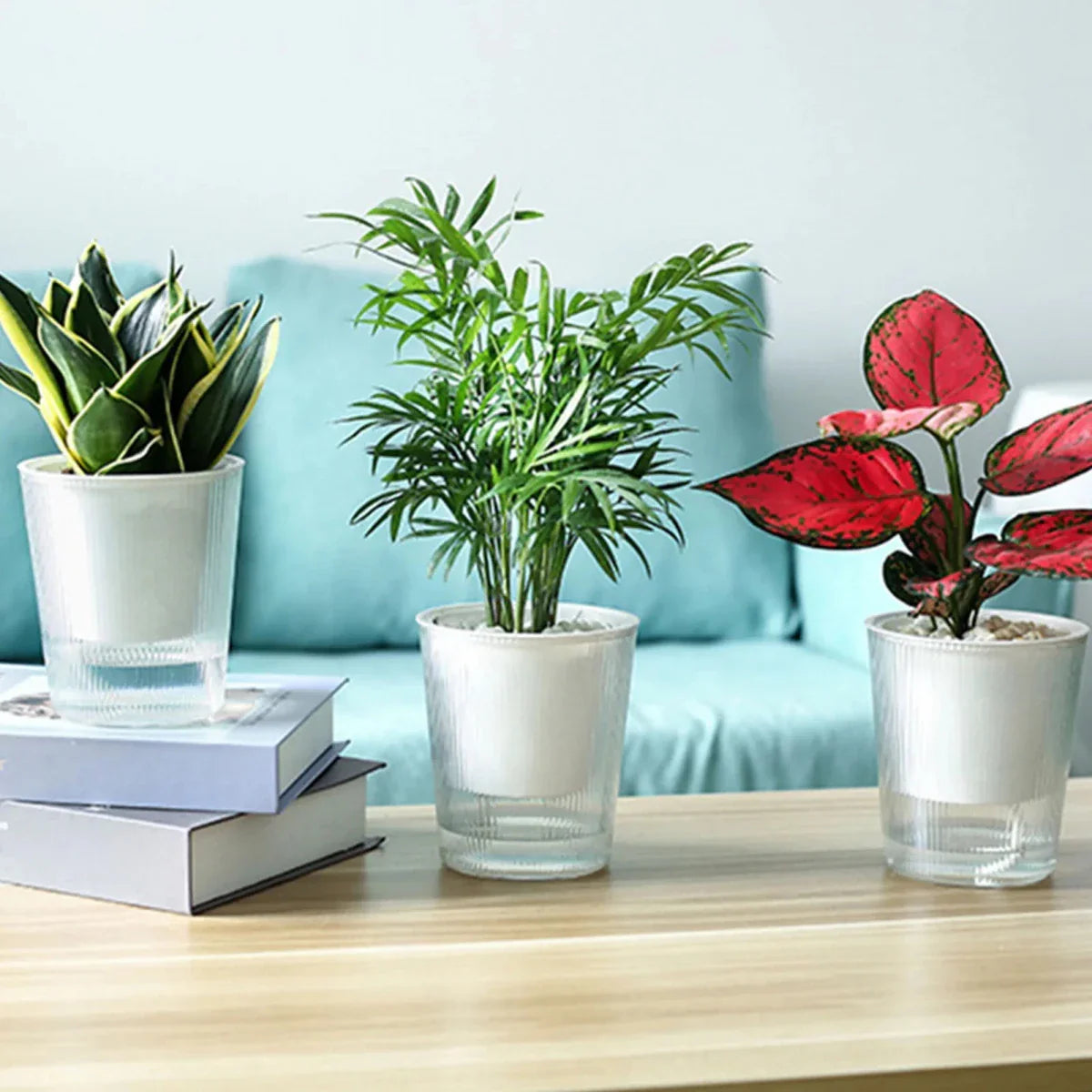 CLEARBLOOM – Self-Watering Clear Planter for Indoor & Outdoor Plants