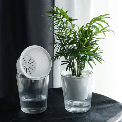 CLEARBLOOM – Self-Watering Clear Planter for Indoor & Outdoor Plants