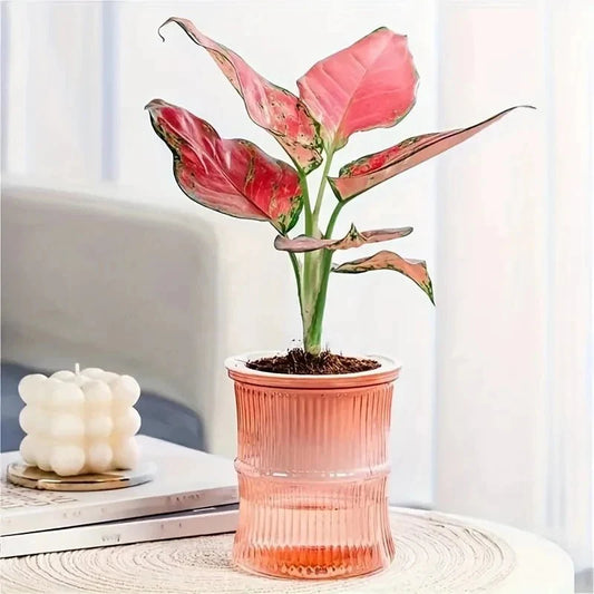 ECOROOT – Eco-Friendly Self-Watering Indoor Planter with Double Layer Design