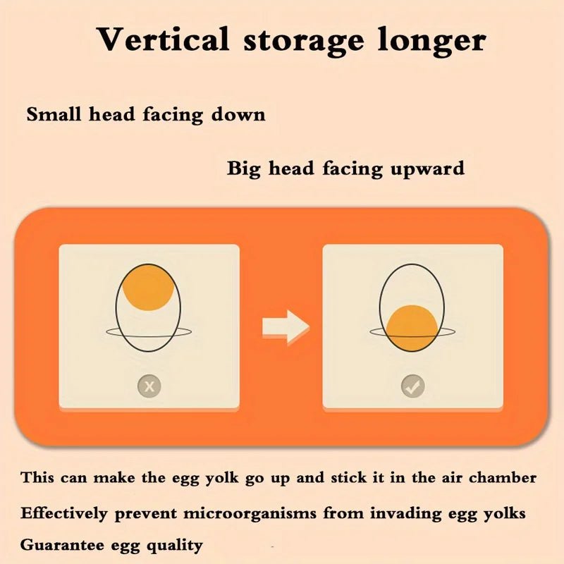 EGGLODGE – 2-Layer Egg Drawer Organizer for Neat & Space-Saving Fridge Storage