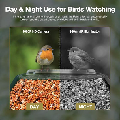 FEATHERVISION – Smart Bird Feeder with Built-In HD Camera for Outdoor Observation