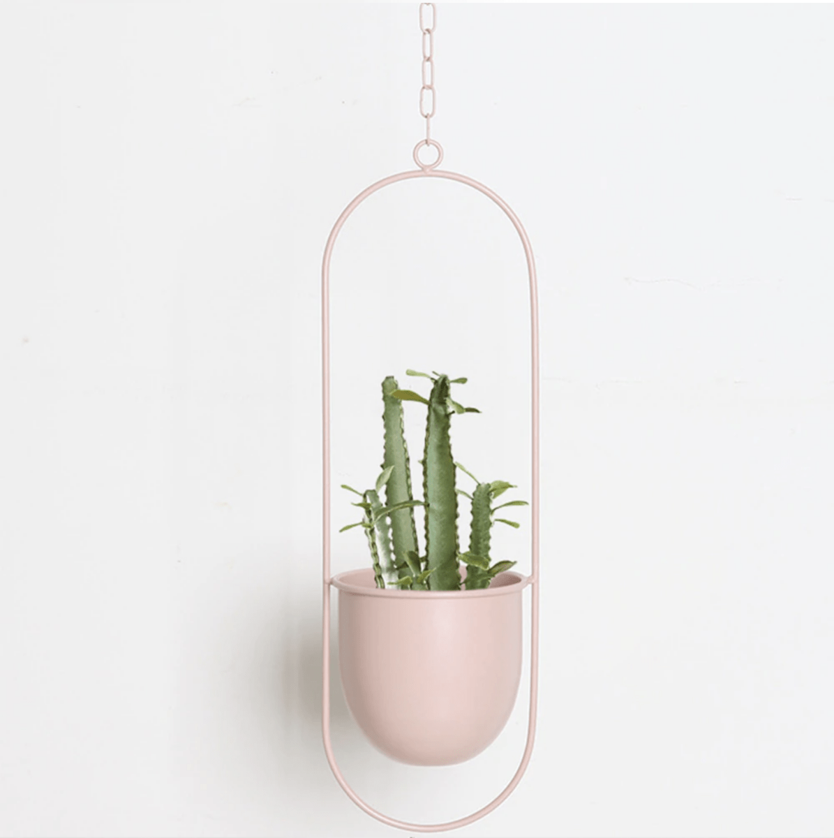 GREENHOLD – Minimalist Wall Plant Hanger with Adjustable Chain for Clean and Modern Spaces