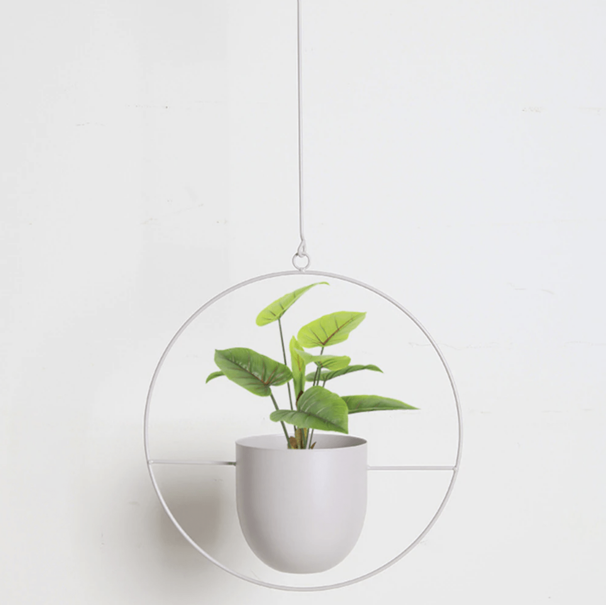 GREENHOLD – Minimalist Wall Plant Hanger with Adjustable Chain for Clean and Modern Spaces