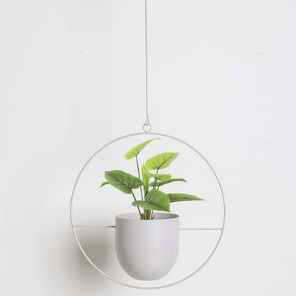 GREENHOLD – Minimalist Wall Plant Hanger with Adjustable Chain for Clean and Modern Spaces