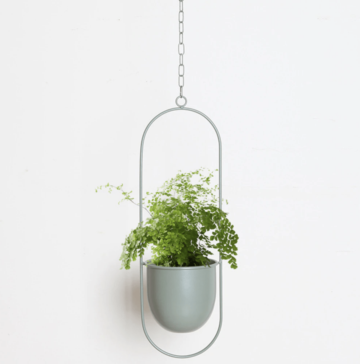 GREENHOLD – Minimalist Wall Plant Hanger with Adjustable Chain for Clean and Modern Spaces