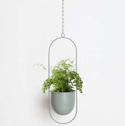 GREENHOLD – Minimalist Wall Plant Hanger with Adjustable Chain for Clean and Modern Spaces