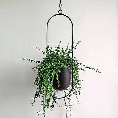GREENHOLD – Minimalist Wall Plant Hanger with Adjustable Chain for Clean and Modern Spaces