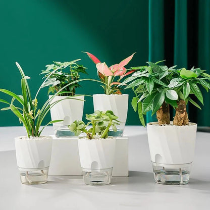 HYDROPOT – Self-Watering Plastic Flowerpot for Soilless Indoor Gardening