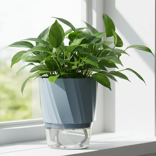 HYDROPOT – Self-Watering Plastic Flowerpot for Soilless Indoor Gardening