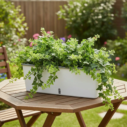 PLANTMATE – Self-Watering Planter for Consistent Hydration Control