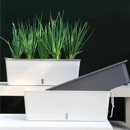 PLANTMATE – Self-Watering Planter for Consistent Hydration Control