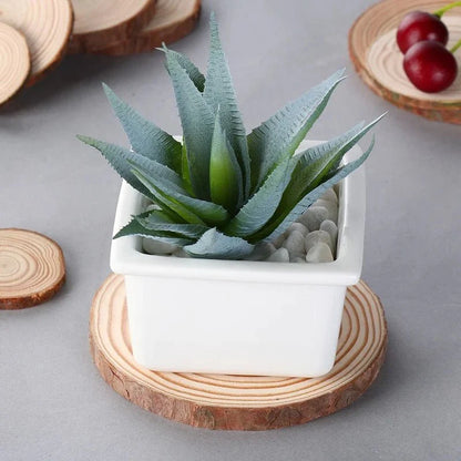 TABLEAF – Eco-Friendly Wooden Coaster for Natural Table Protection