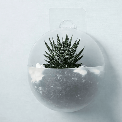 VERTIFLOW – Hydroponic Wall Hanging Planter for Modern Green Spaces