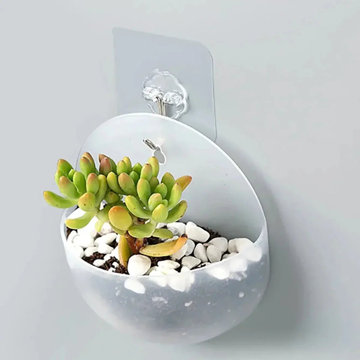 VERTIFLOW – Hydroponic Wall Hanging Planter for Modern Green Spaces