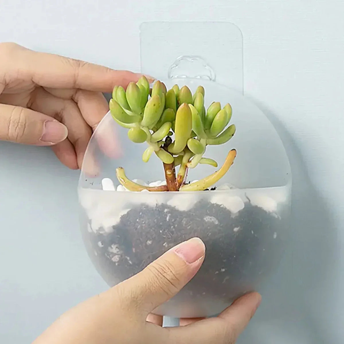 VERTIFLOW – Hydroponic Wall Hanging Planter for Modern Green Spaces