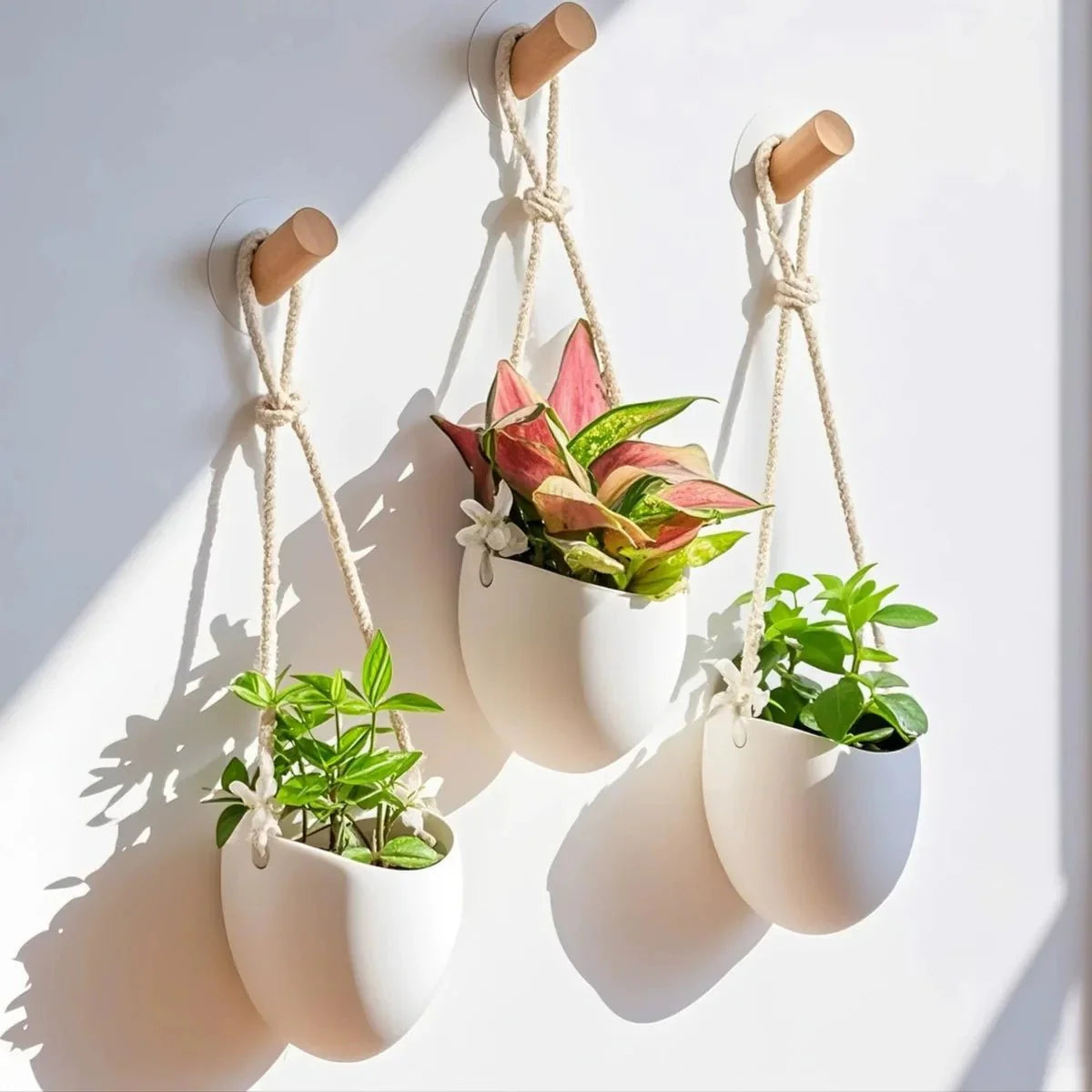 WALLORA – Elegant Wall-Mounted Planter for Space-Saving Green Decor
