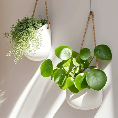 WALLORA – Elegant Wall-Mounted Planter for Space-Saving Green Decor